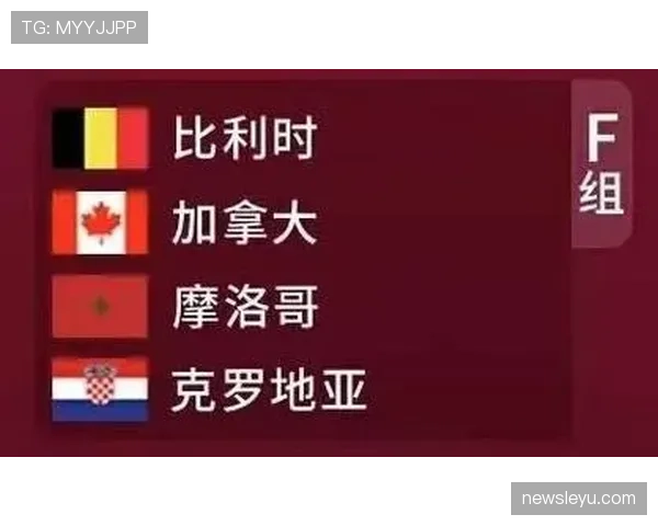 世界杯F组最新晋级概率公布